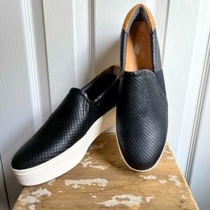 Dr. Scholl’s Abbot Platform Sneaker in Black New with Box